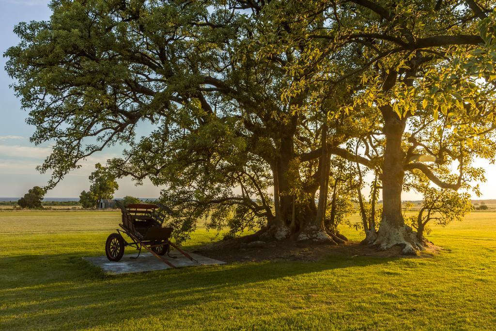 Las Martinas Colonia del Sacramento Eksteriør bilde